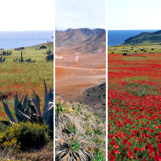 Paisagens do Cabo de Gata, Almeria