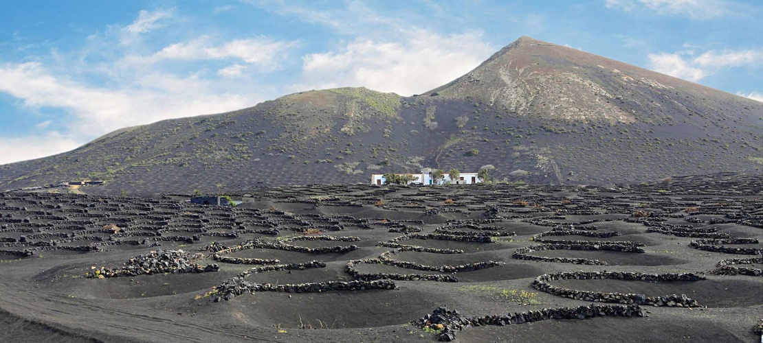 Weingärten auf Kratern in La Geria, Lanzarote