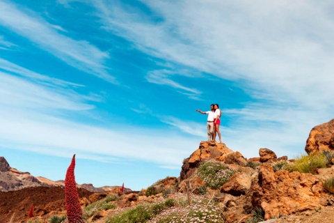 Nationalpark El Teide