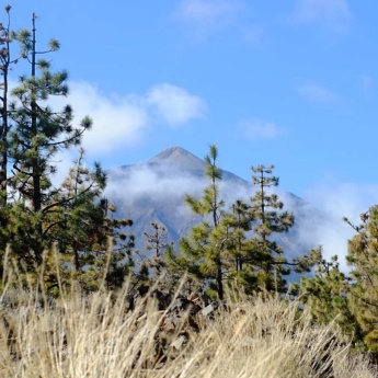 Views of Mt Teide