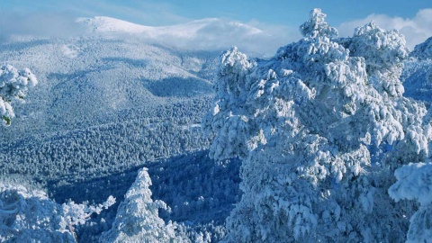 グアダラマ山脈国立公園の雪景色