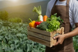 Landwirt mit einer Kiste Bio-Produkte