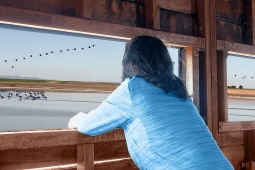 Une femme observe des oiseaux dans un parc naturel