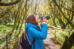 Tourist im Garajonay-Nationalpark auf La Gomera, Kanarische Inseln